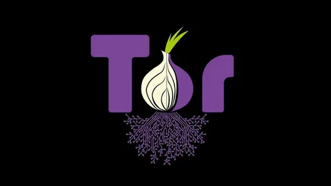 Tor Project заверил пользователей в том, что остается безопасным и анонимным
